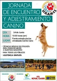 La Nucia EtiologiaCanina