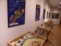 La Nucia Aud Expo insectos ampli 2016