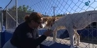 Ampliacion-Refugio-Animales