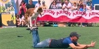 VIII-Concurso-Nacional-Canino