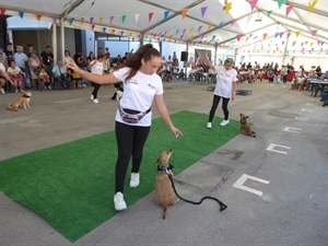 El sábado por la mañana hubo una exhibición canina