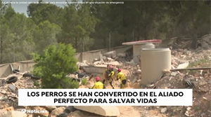 Una gran promoción para el Campo Municipal de Entrenamiento de Perros de Rescate de La Nucía