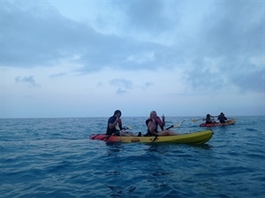 Esta actividad está dentro de la programación "Verano 2021"